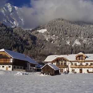 Mitterbruggehof Apt Silberdistel Appartement Anterselva di Mezzo Exterior photo