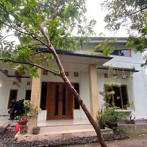 Spot On 93519 Kebun Manis Homestay Lembuak Exterior photo