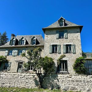 Le Manoir Du Rigouneix Au Coeur De La Nature, Calme-Sauna-Diner Maison Bed and Breakfast Saint-Angel  Exterior photo