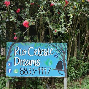 Xxx Blue Paradise - Rio Celeste Dreams Appartement Bujagua Exterior photo