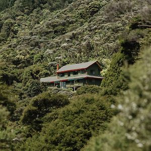 Buffalo Lodge Coromandel Exterior photo