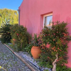 Casa Das Jardas Pension Idanha-a-Nova Exterior photo