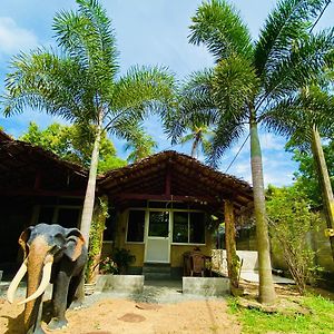 Rathnapriya Oasis Hotel Ampara Exterior photo