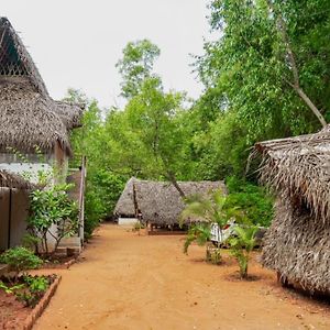 Nebula Nest Cafe & Hostel Auroville Exterior photo