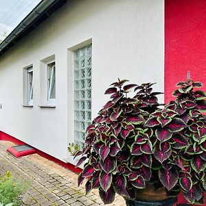 ☆Gemuetliche 1-Zimmerwohnung Mit Terrasse☆ Rielingshausen Exterior photo