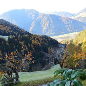 Martlerhof Urlaub Auf Dem Bauernhof Appartement Campo di Trens Exterior photo