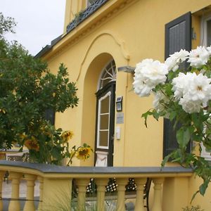 Gutshaus Mit Seeblick - Oekologisch & Nachhaltig Appartement Lubow Exterior photo