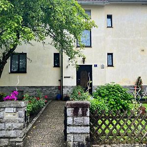 Pension Donaublick Grein 1 , Spitzfeldstr 1 Hotel Exterior photo