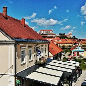 Guesthouse Pri Tonetu Ptuj Exterior photo