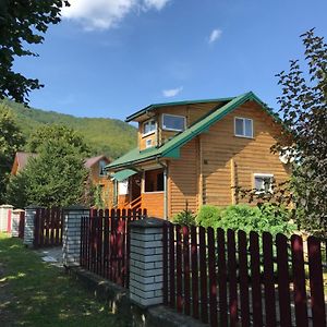 Садиба Карпатських Гір Villa Novyi Mizun' Exterior photo