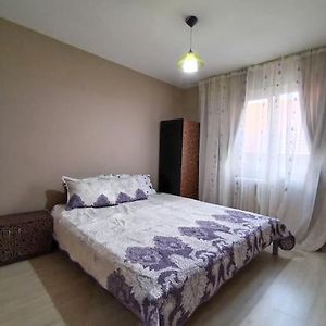 Apartament In Centrul Istoric Appartement Baia Mare Exterior photo