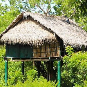 Yala Beddegama Eco Hotel Kataragama Exterior photo