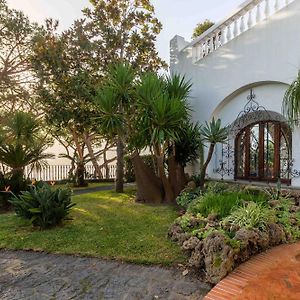 Villa Le Pagine Bianche Ischia Exterior photo