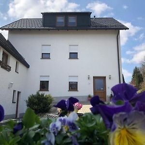 Gemutliche Familienferienwohnung Im Obergeschoss Bad Brambach Exterior photo
