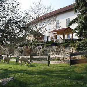 Urlaub Auf Dem Bauernhof, Mit Schlossblick Appartement Dornburg  Exterior photo