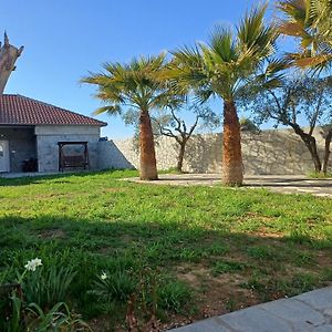 Bella Gaia Appartement Eleftheroupoli Exterior photo