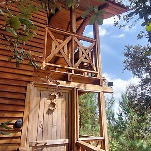 Cabana En El Bosque De San Jose Del Pacifico 3 Villa Exterior photo