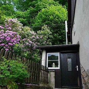 Ferienwohnung Im Gruenen Elbtal Stadt Wehlen Exterior photo