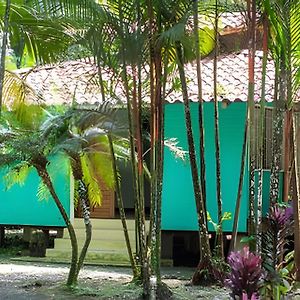 Jungle Dreamz Villa Manzanillo  Exterior photo