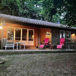 Lonnekullen, Sommarstuga Mitt I Skogen Pa Osterlen Appartement Gärsnäs Exterior photo