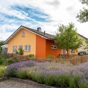 Ferienhaus Zum Feldblick Villa Andernach Exterior photo