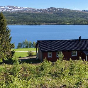 Nyrestaurert Og Koselig Hytte Ved Skjelbredvatnet. Villa Sandvika  Exterior photo