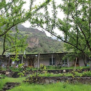 Tirebi Farmhouse Hotel Vardzia  Exterior photo