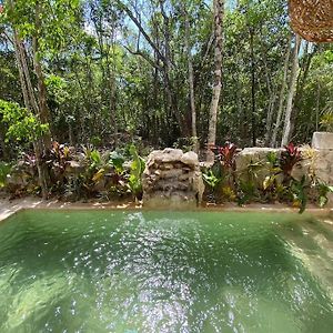 Little Oasis With Private Pool In The Jungle Appartement Chemuyil Exterior photo