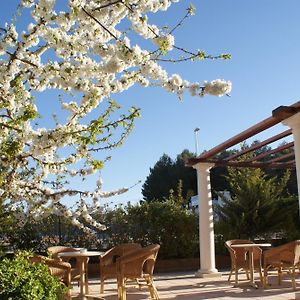 Hotel Patilla Ciudad De Requena Exterior photo