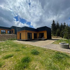 Carpathians View Villa Krivopol'ye Exterior photo