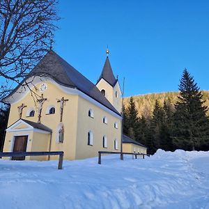 Comfortable Apartment in Sankt Lambrecht near Ski Area Exterior photo