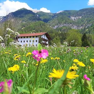 Pulvererhof Appartement Achenkirch Exterior photo