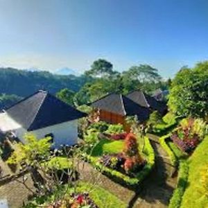 The Green Ponci Bedugul Hotel Baturiti Exterior photo