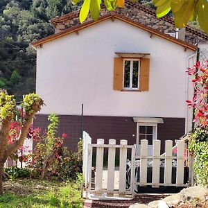 Gite Bord Riviere Volane Villa Vals-les-Bains Exterior photo