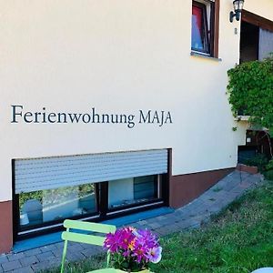 Fewo Maja Appartement Goddelsheim Exterior photo