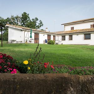 Agriturismo Il Poggio Pension Vetralla Exterior photo