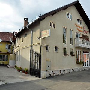 Pensiunea La Palaguta Hotel Baia Mare Exterior photo