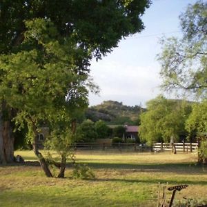 Spirit Tree Inn B&B Patagonia Exterior photo