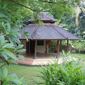 Sananda Bungalow Hotel Lovina Exterior photo