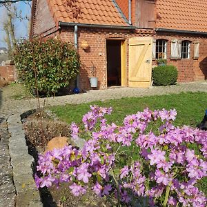 Ferienhaus Voern-Diek Appartement Hohnstorf Exterior photo