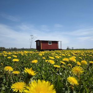 Gula Vagnen Bed and Breakfast Hörby Exterior photo