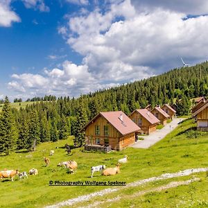 Beautiful Holiday Home In Weinebene With Sauna Posch Alpe Exterior photo