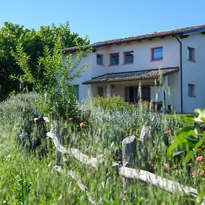 Gorgeous Home In Terre Roveresche With Wifi San Giorgio di Pesaro Exterior photo