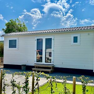 Tiny House In De Duinen Van Ijmuiden Aan Zee Villa Exterior photo