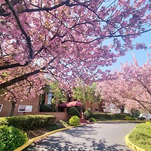 Charming 2Br 2B In Elkins Park, Parking, Pool Appartement Willow Grove Exterior photo