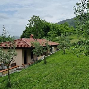 Zelkonn House Appartement Branik Exterior photo