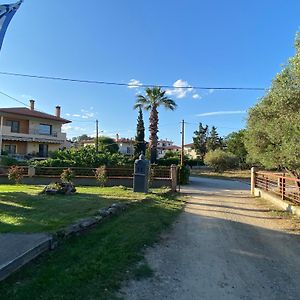 Filemial House Appartement Ayios Mamas Exterior photo