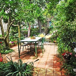 Il Giardino Dei Limoni Casa Nel Borgo Villa Maranola Exterior photo