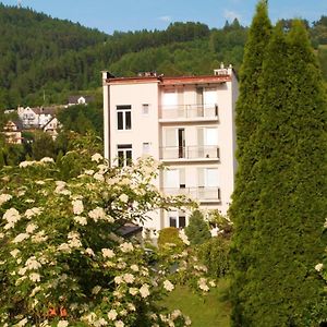 Osrodek Wczasowy Krasniczanka Hotel Muszyna Exterior photo