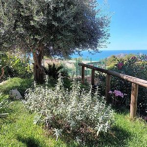 Il Rosmarino Appartement Ischia Exterior photo